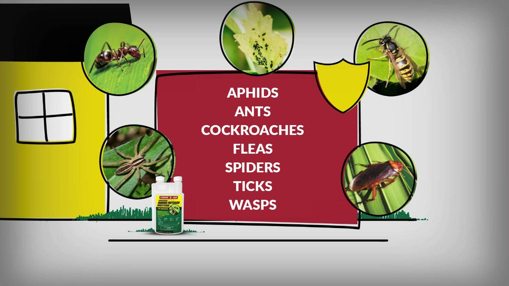 Compare-N-Save indoor-outdoor application enables effective treatment around homes and gardens.