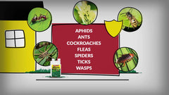 Compare-N-Save indoor-outdoor application enables effective treatment around homes and gardens.