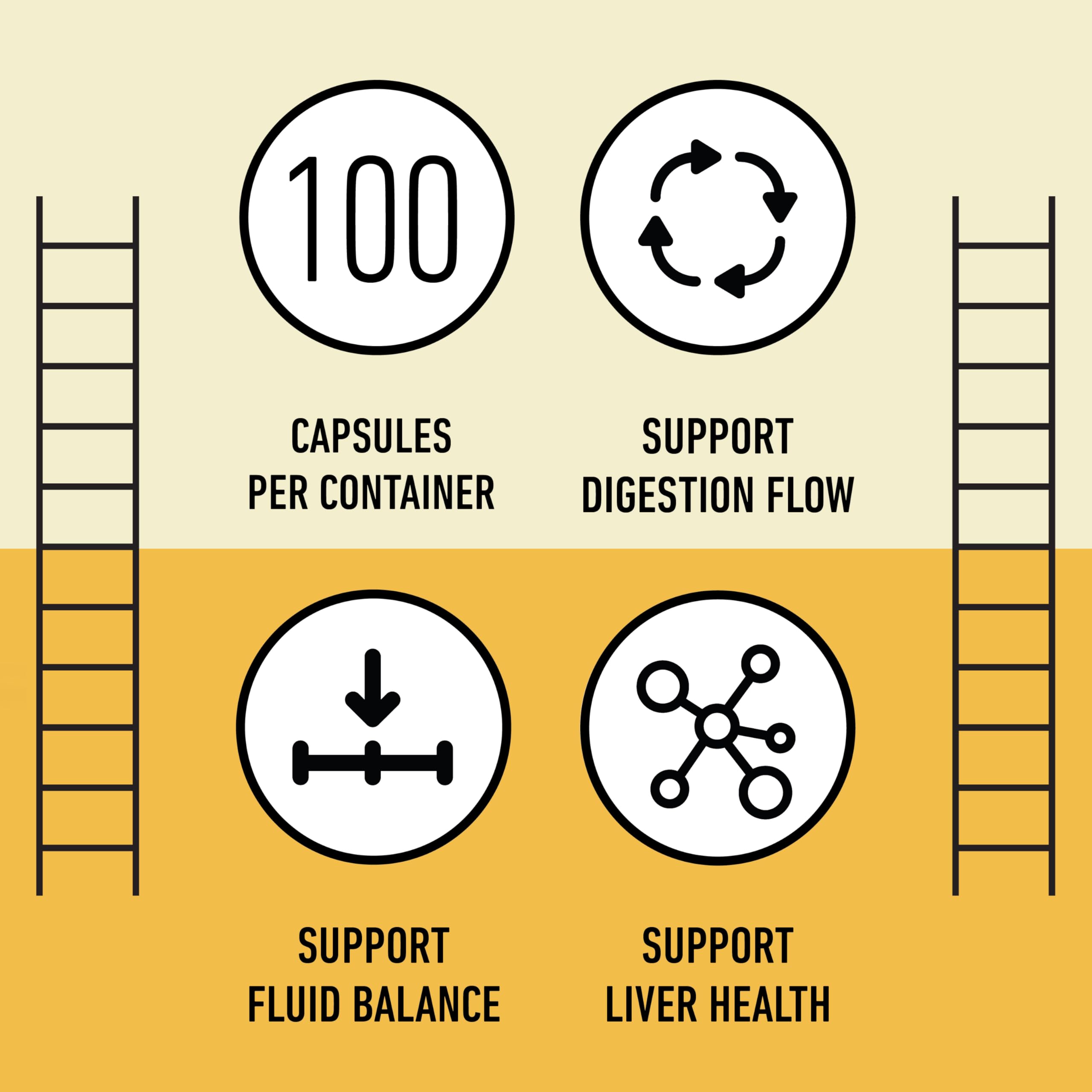 Complete Natural Products dandelion root capsules on kitchen counter for convenient use.