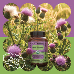 Close-up of Complete Natural Products organic milk thistle powder.
