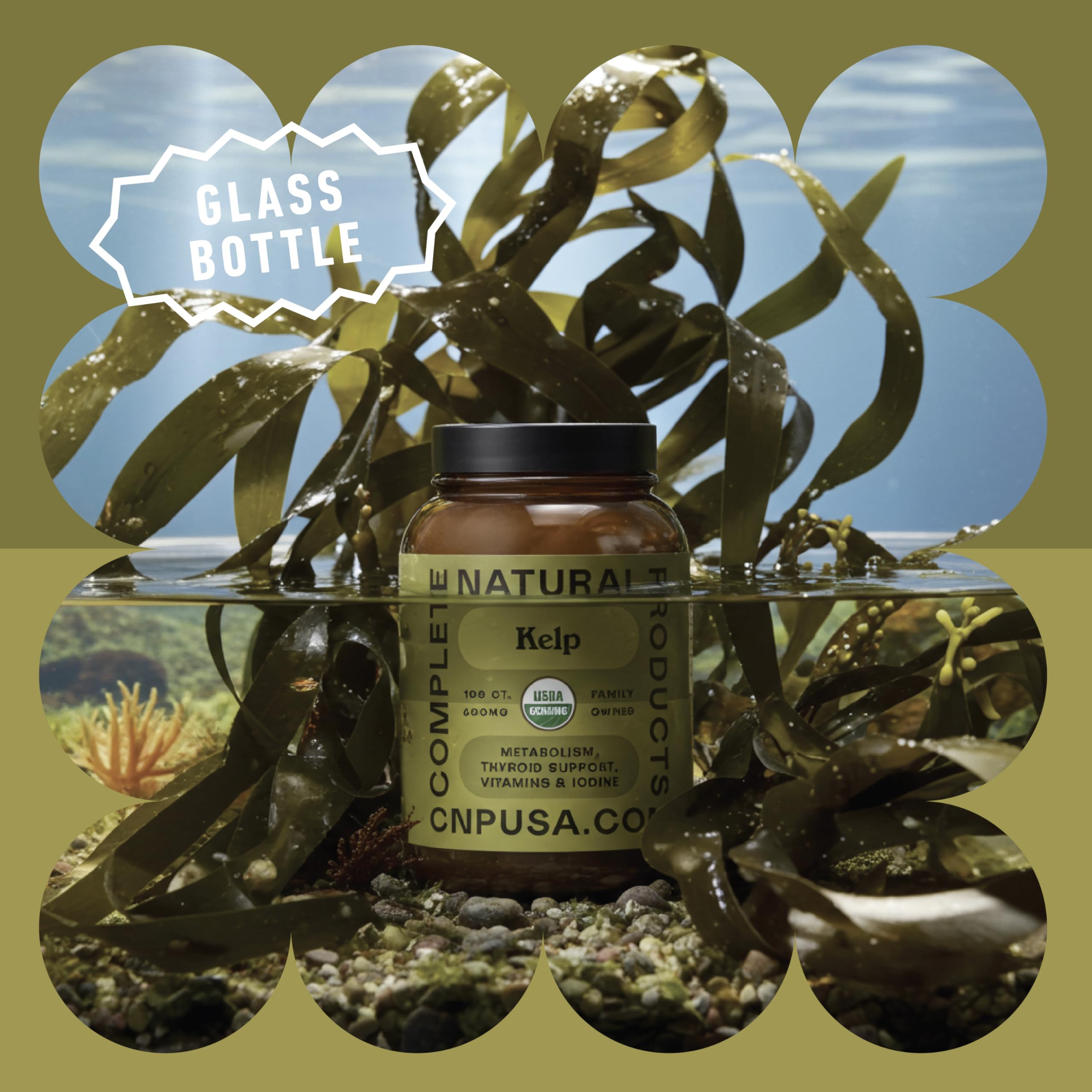 Complete Natural Products sea kelp capsules ingredient close-up emphasizes 16 amino acids.
