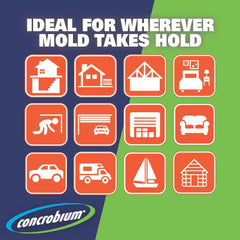 Concrobium Mold Control on diverse surfaces cleans and dries without harsh chemicals.