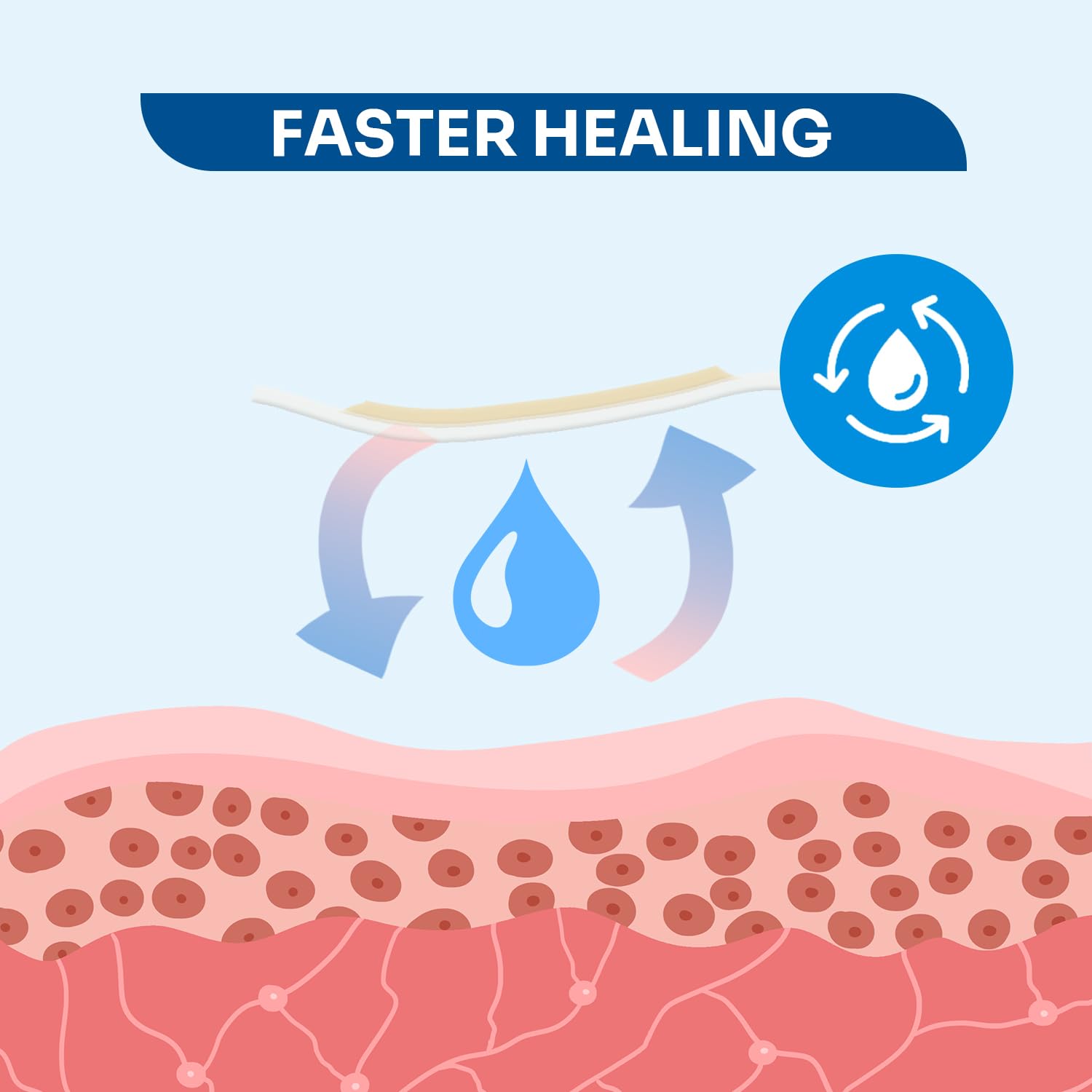 Conkote hydrocolloid bandages travel-friendly packaging; convenient daily protection.