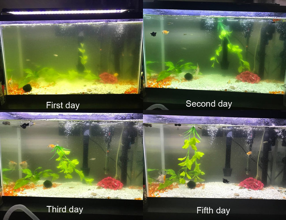 COODIA built-in UV pump providing steady water circulation
