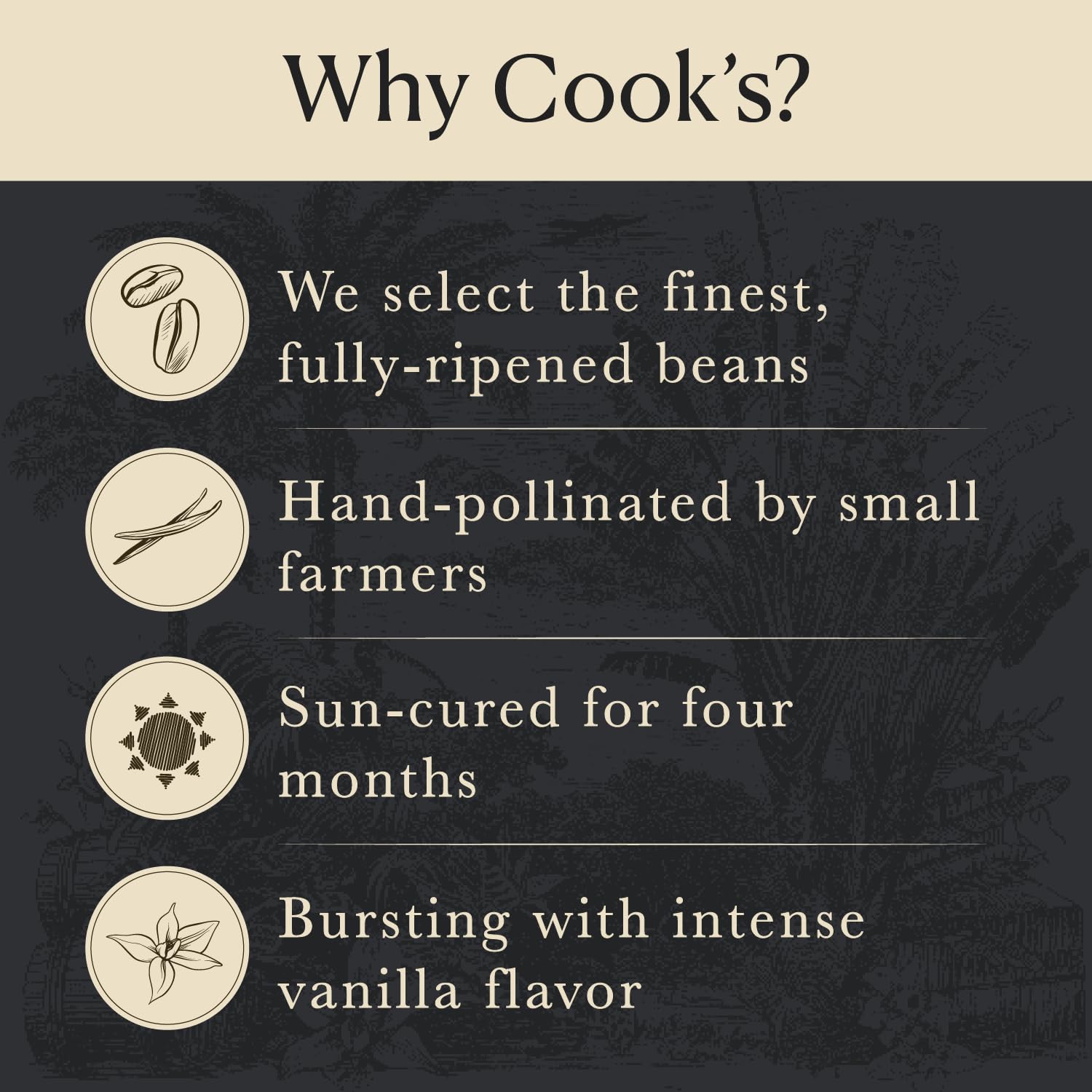 Cook's Vanilla Powder kitchen-scene inspires easy, cozy home baking ideas.