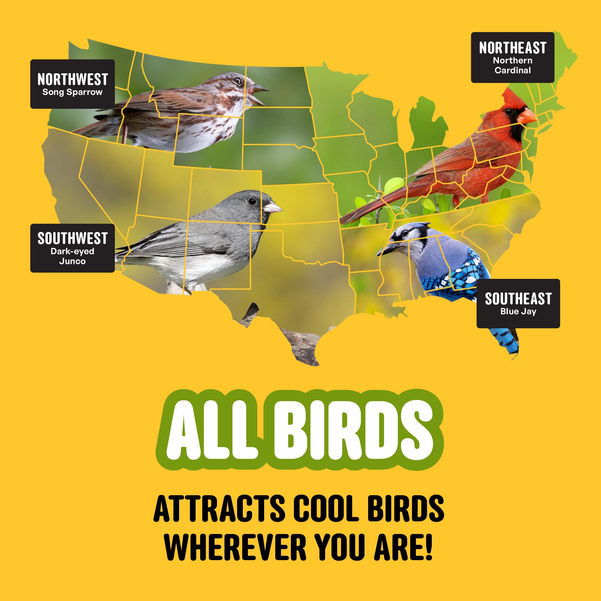 COOL BIRDS All Birds Blend 10 lb bag label for shelf display