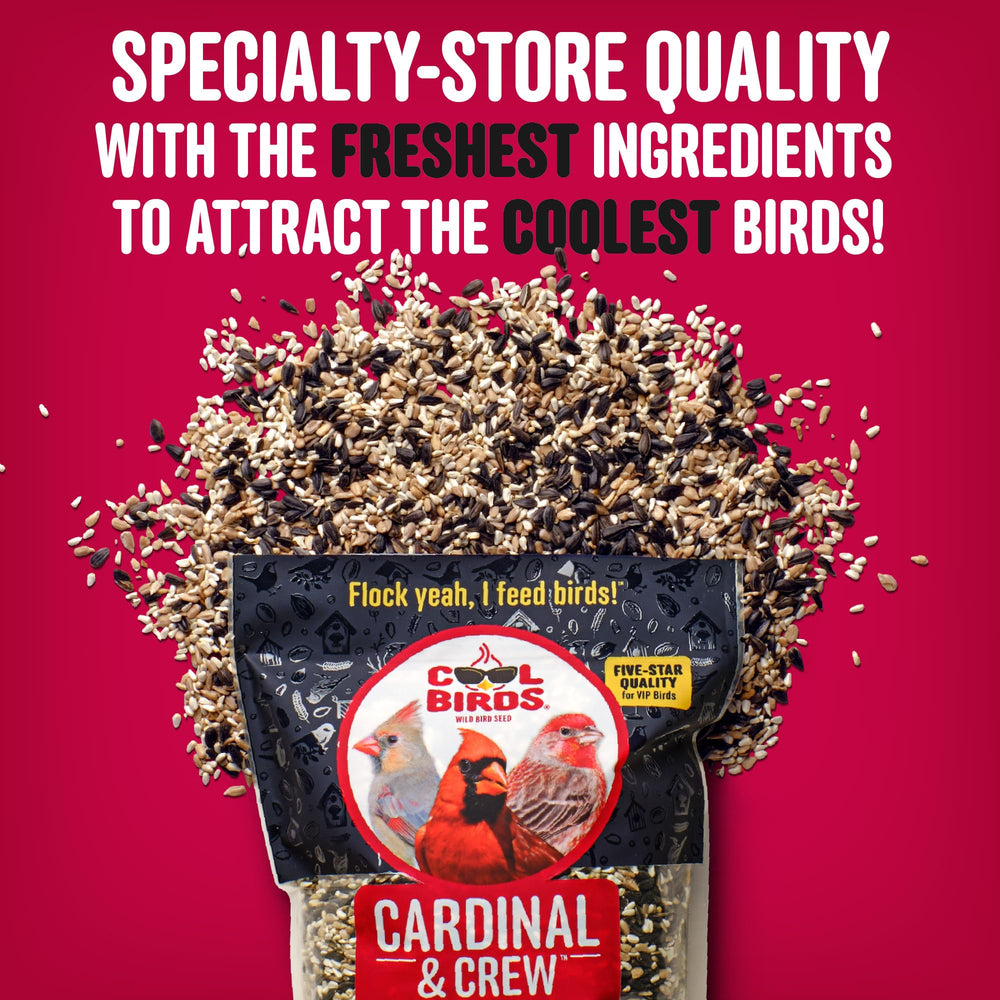 Cardinals and chickadees sharing the blend at a hopper feeder, promoting natural backyard visits