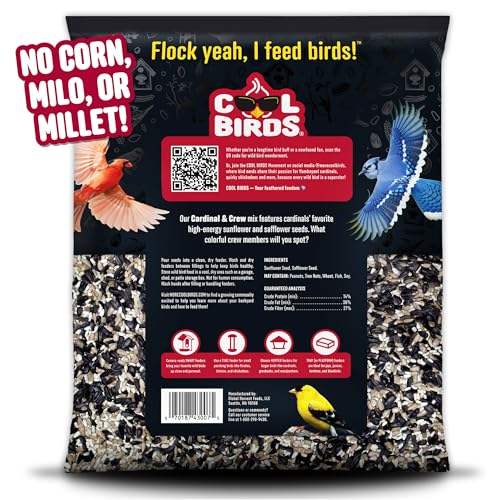 Cool Birds Cardinal & Crew at feeder shows vibrant cardinals dining on premium seed mix