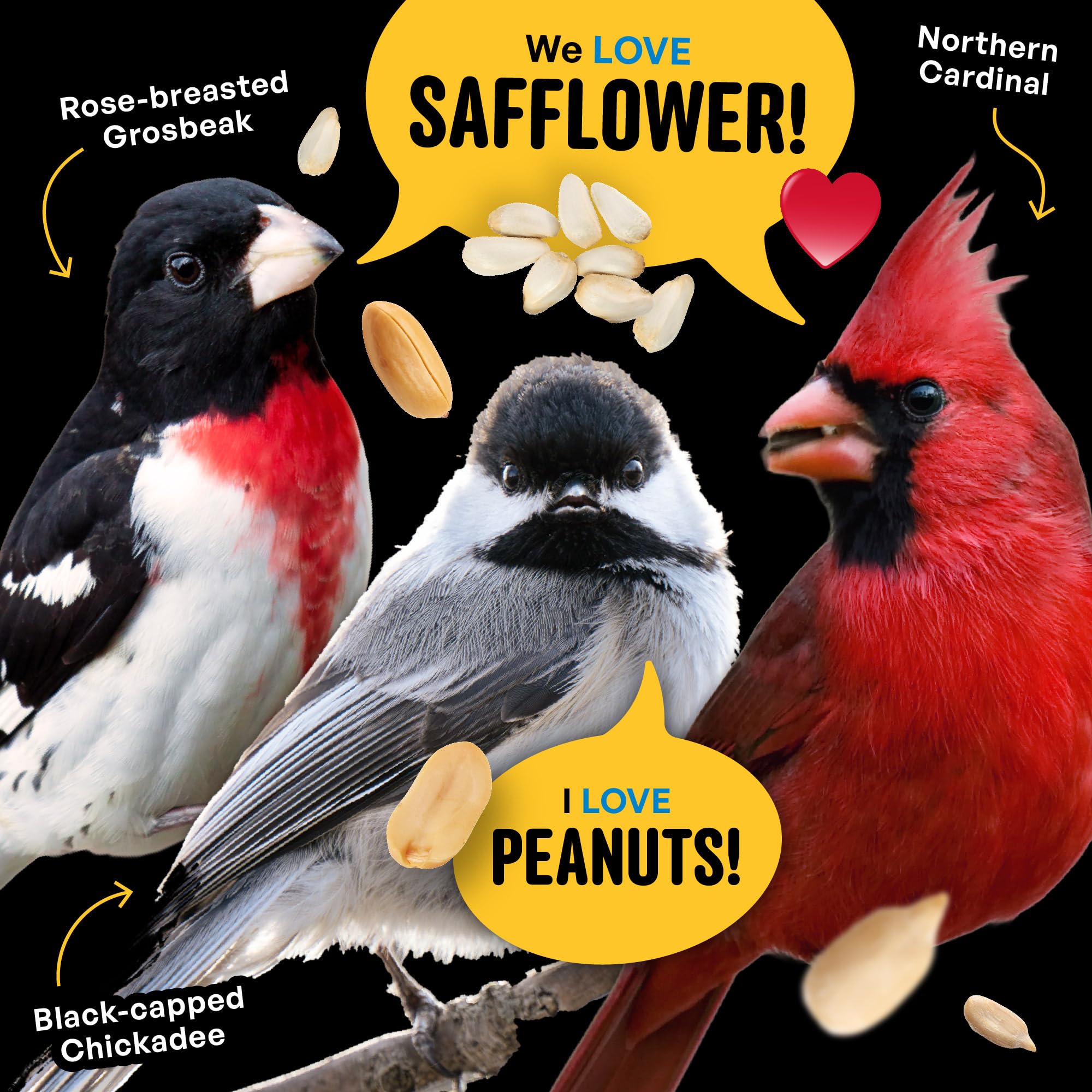 No corn milo millet label highlights clean, filler-free bird seed