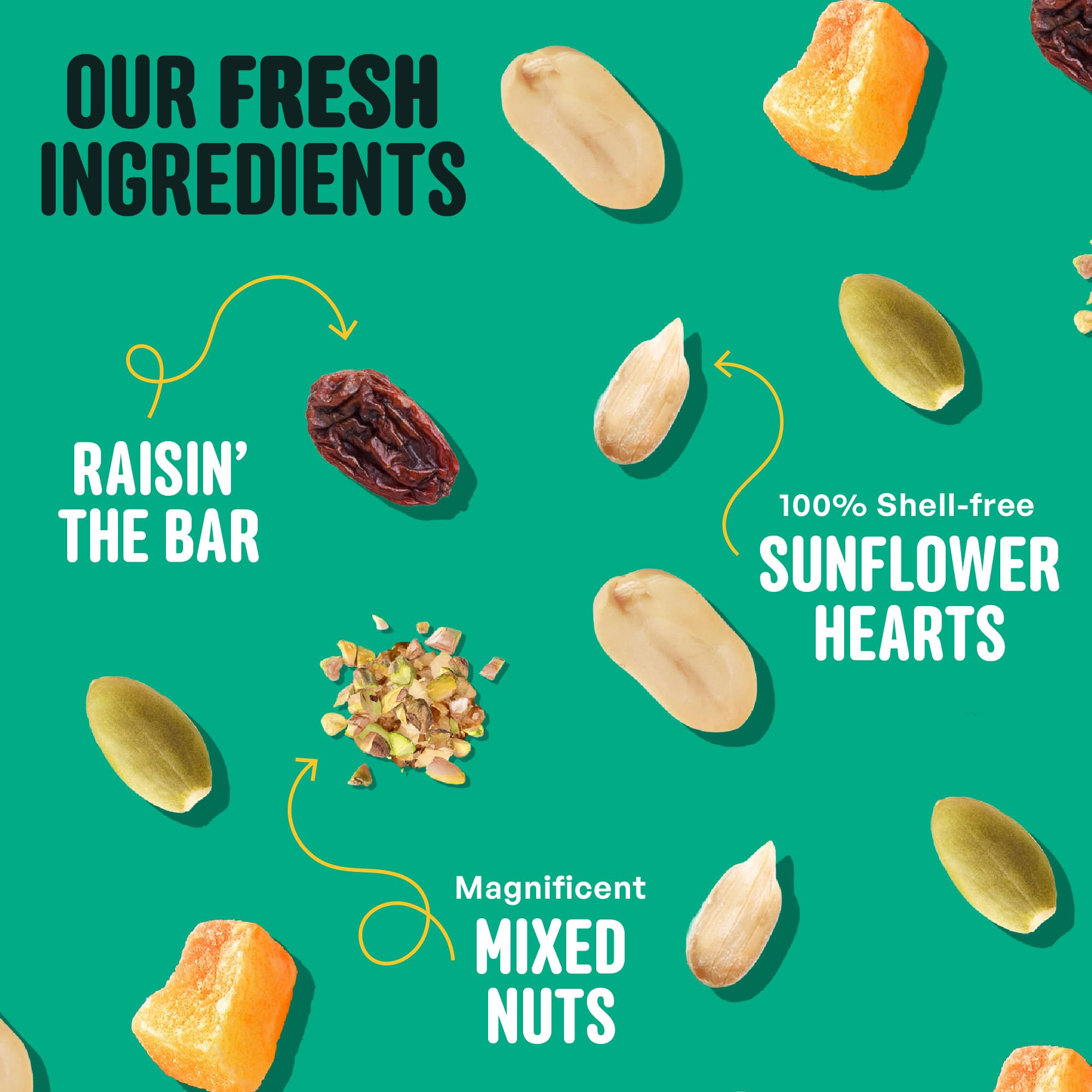 Cool Birds No Mess mix with chopped tree nuts for diverse backyard dining