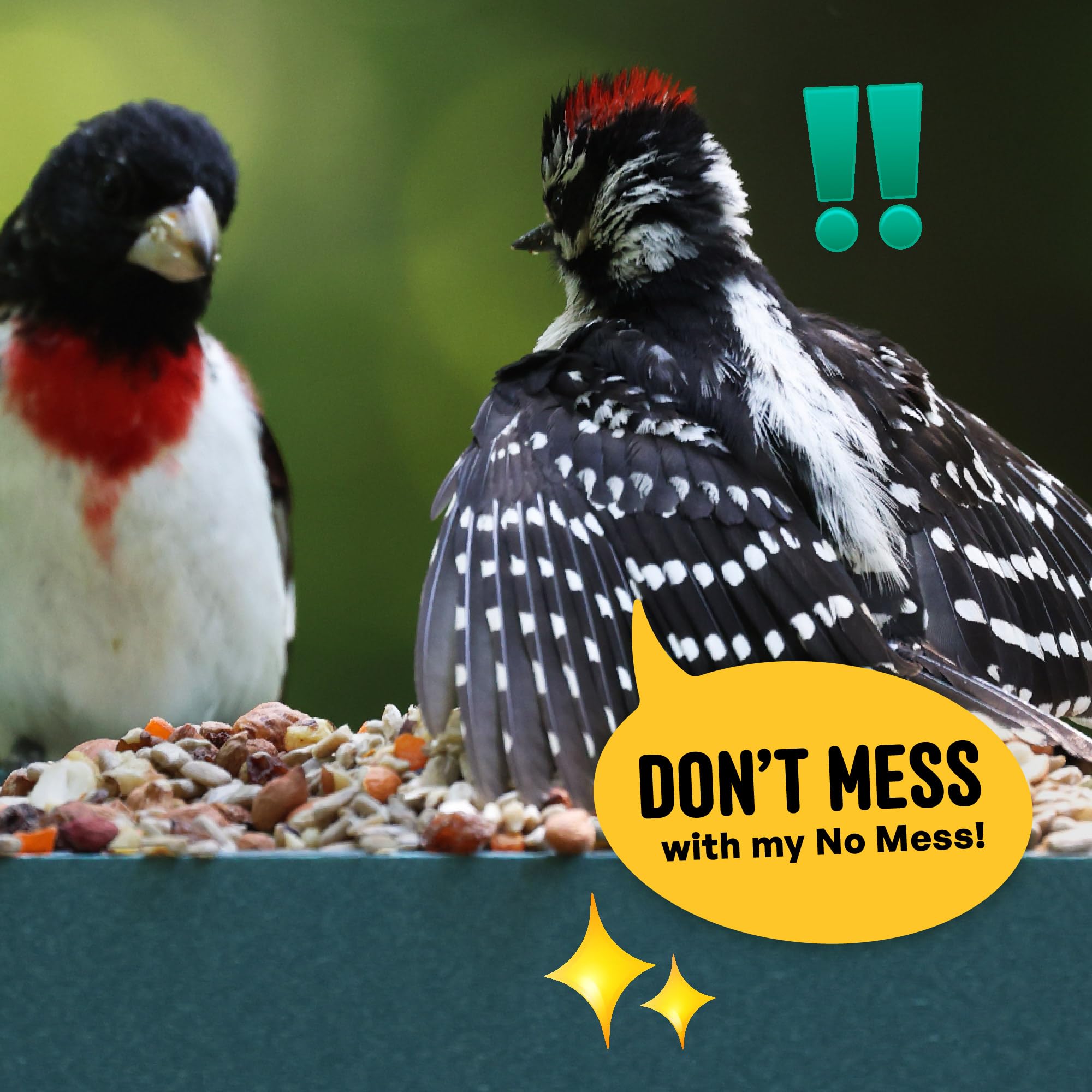 Cool Birds No Mess with fruit dried fruit like papaya and raisins for variety