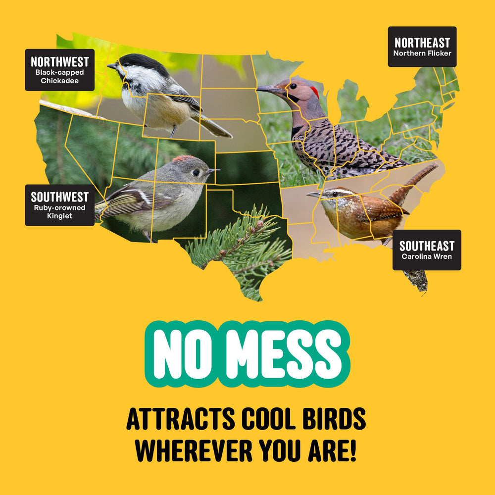Cool Birds No Mess ideal for hopper feeders on decks