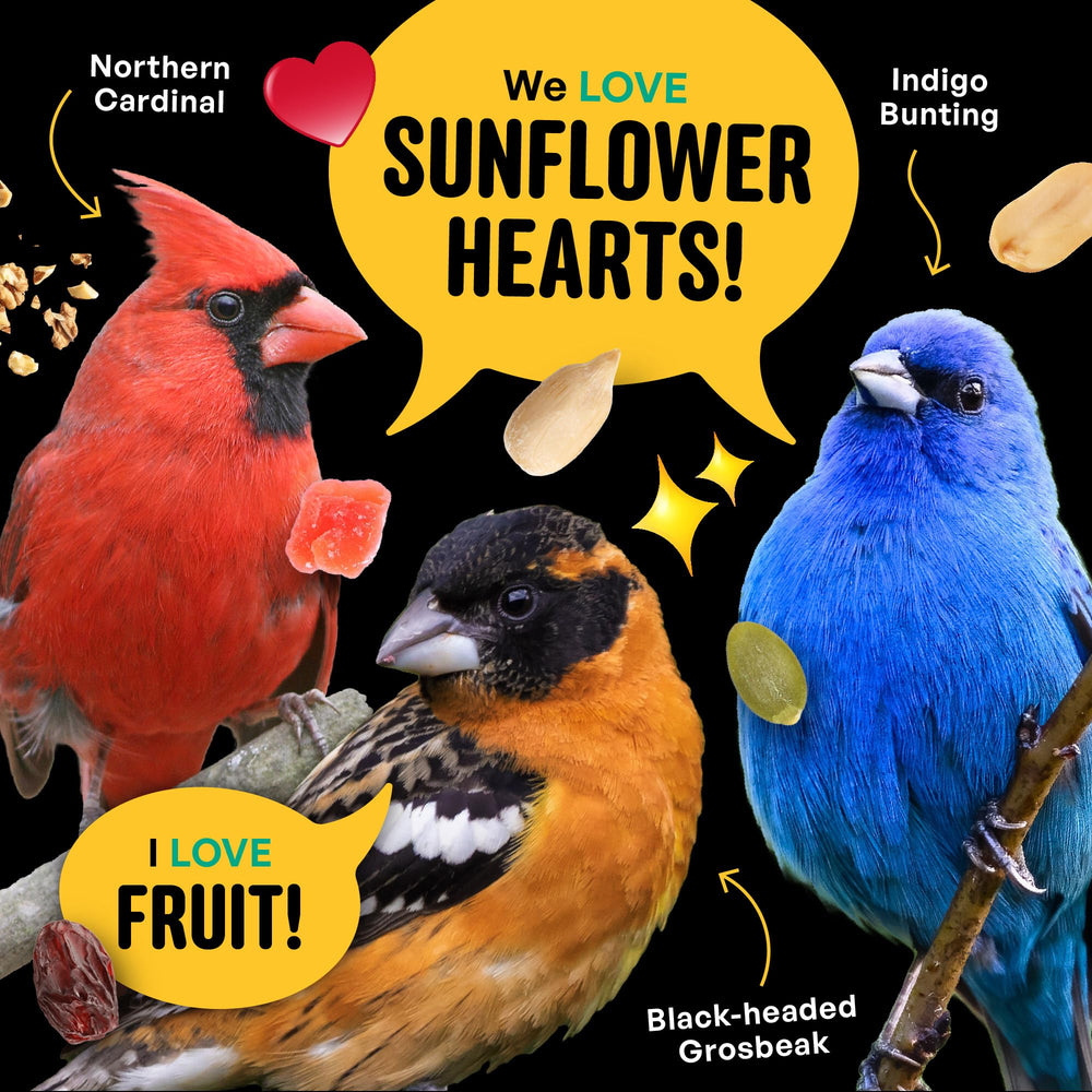 Cool Birds No Mess no shells reduce waste at outdoor feeders