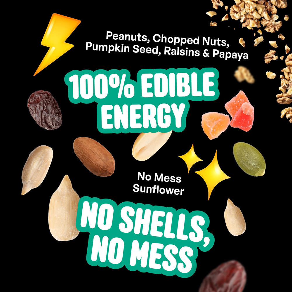 Cool Birds No Mess fruit seed pumpkin seeds for active visitors