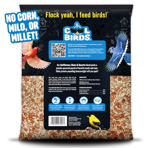 Close-up of Cool Birds blend showing safflower and sunflower hearts for high-energy nutrition