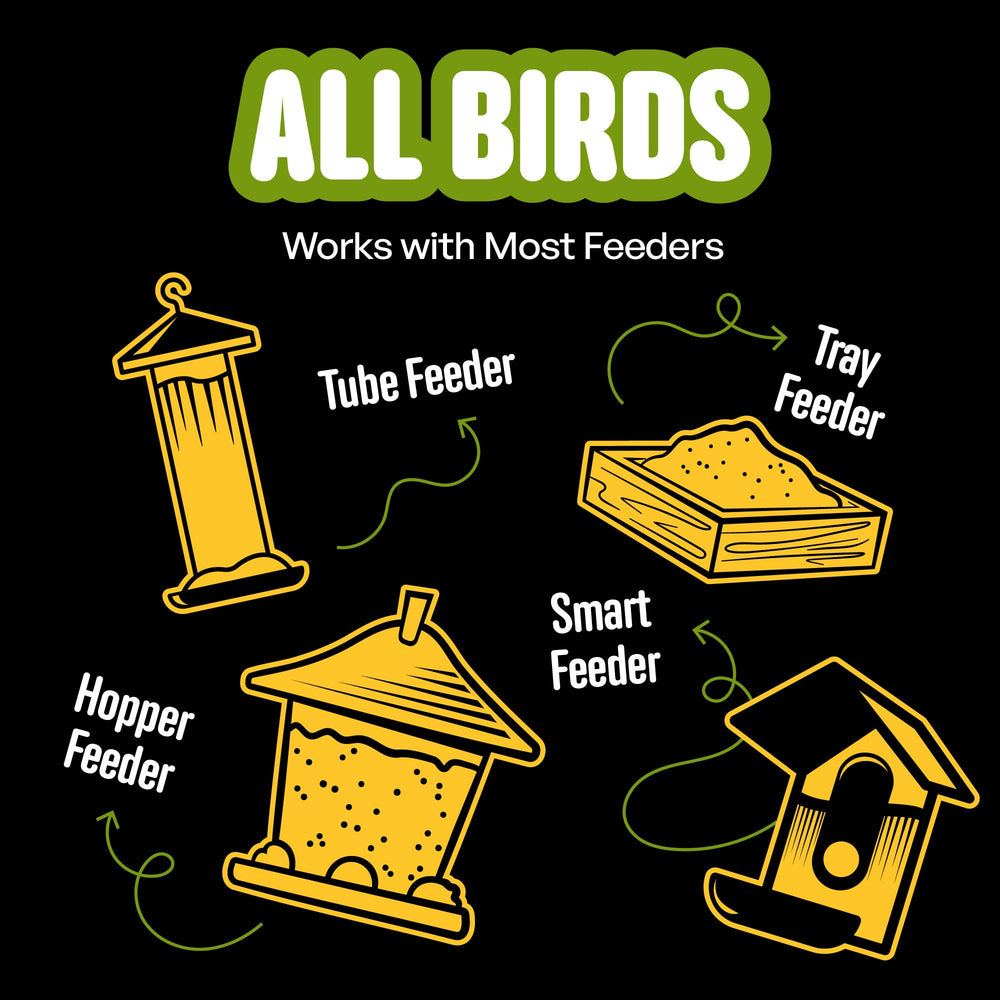 COOL BIRDS All Birds Blend 10 lb USA-blended seed