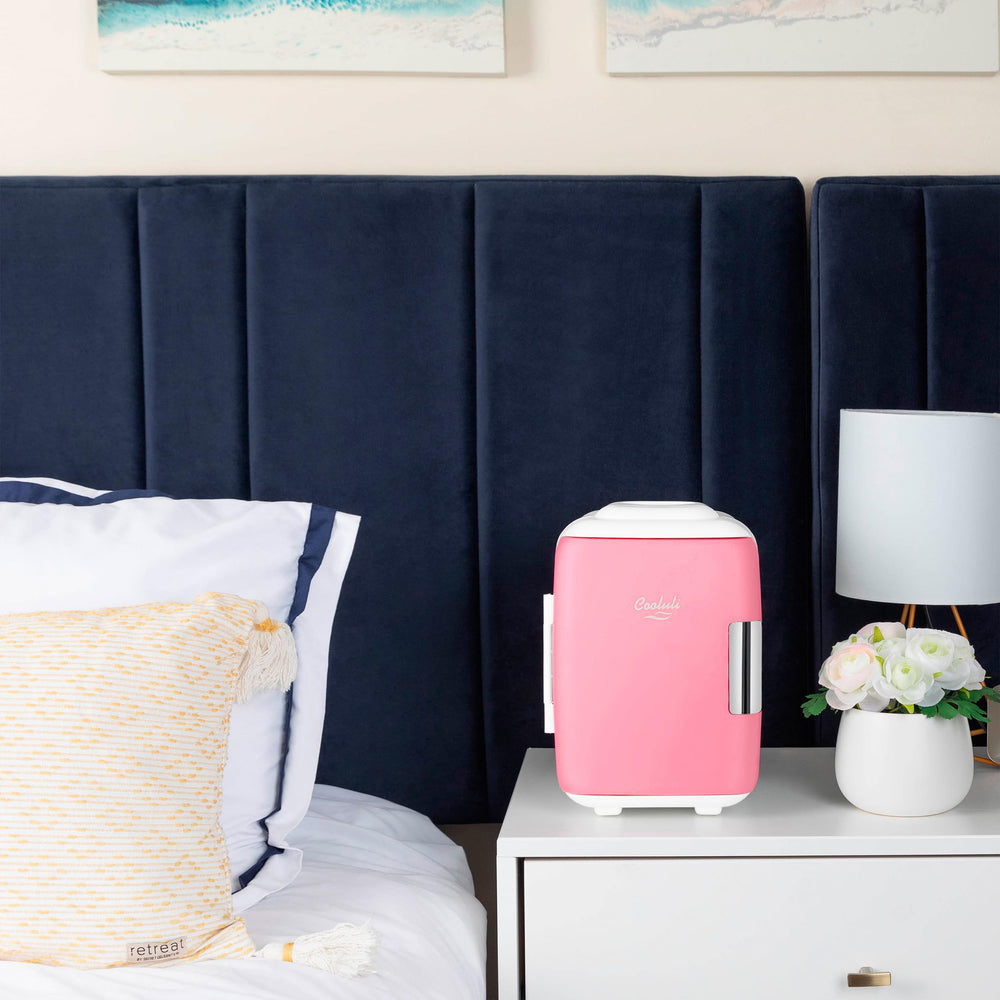 Cooluli 4L with AC, DC, and USB power options for versatile use.