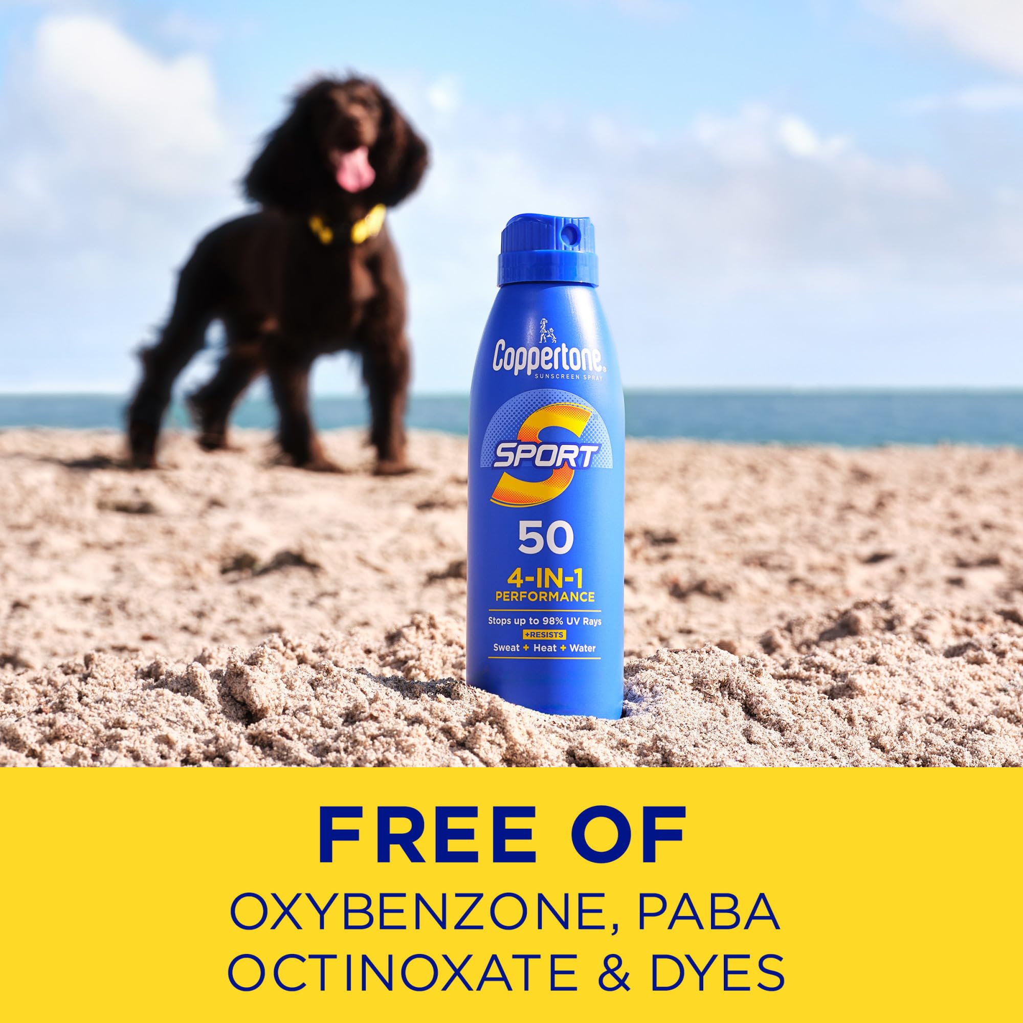 Coppertone Sport bulk pack features three 5.5 oz bottles.