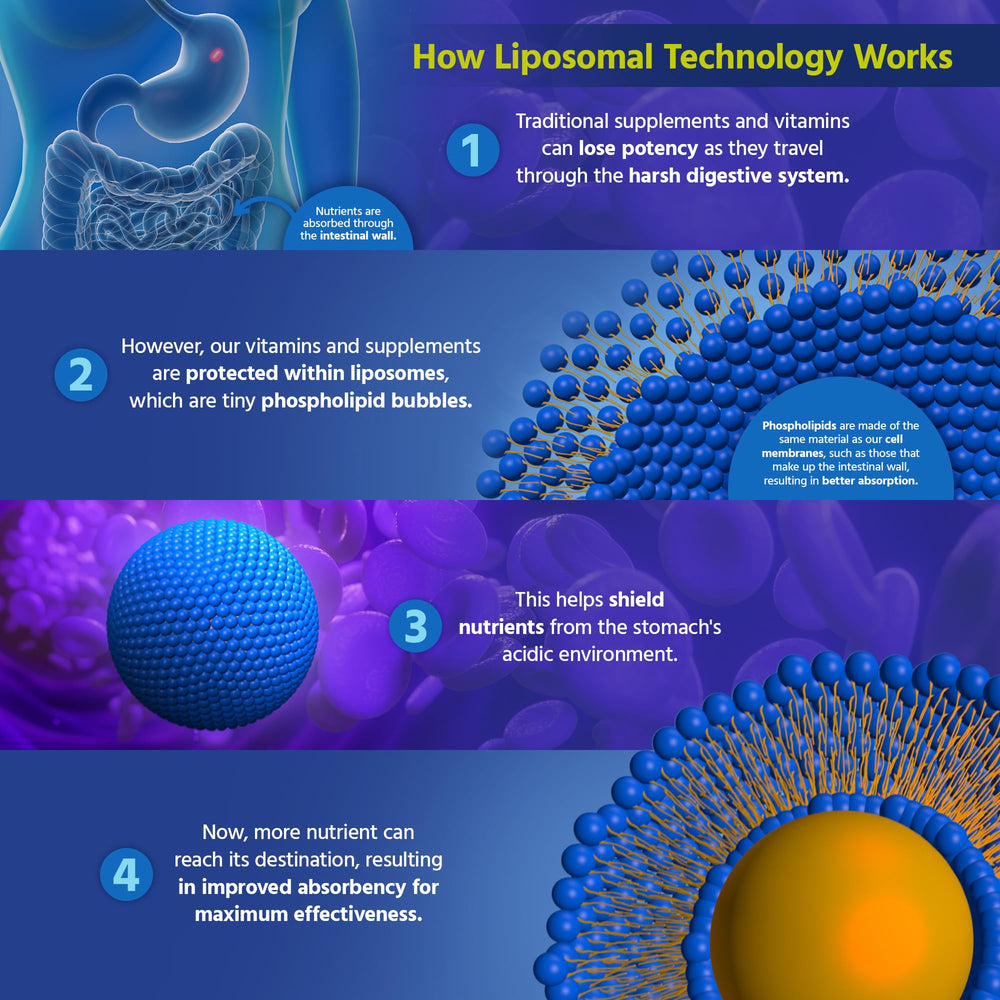 Core Med Science Liposomal Glutathione ingredients list highlights non GMO formula