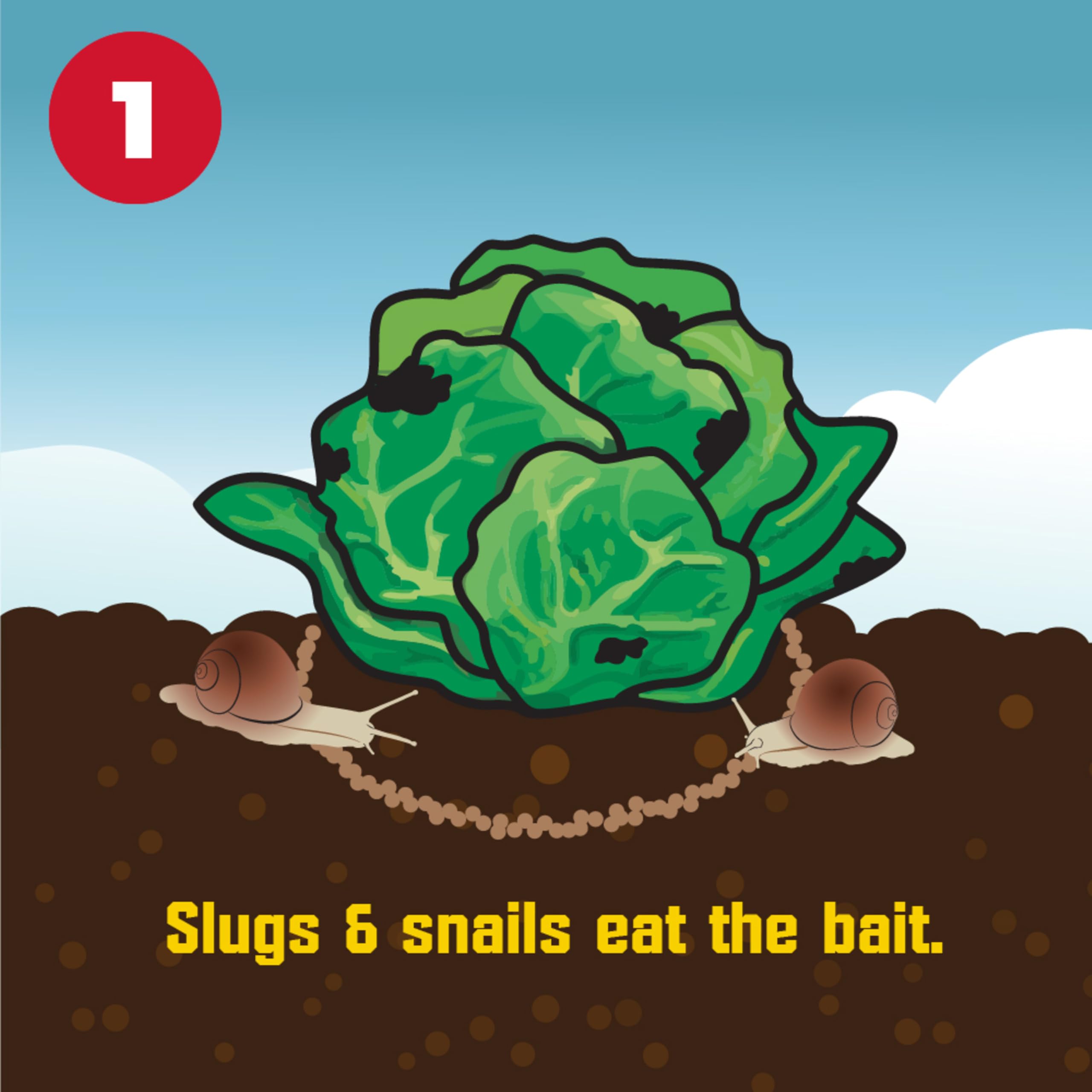 Corry's slug-snail killer application spread shows even coverage for turf and garden beds