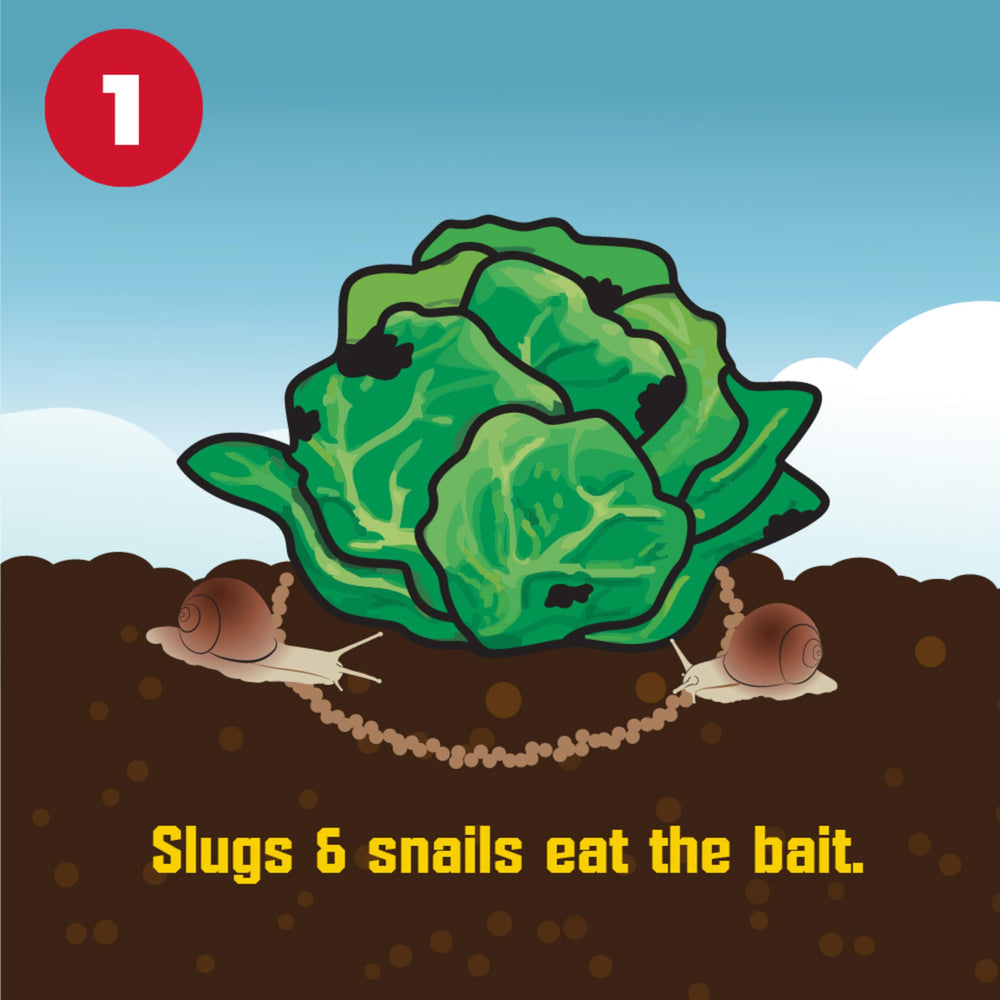 Corry's slug-snail killer application spread shows even coverage for turf and garden beds