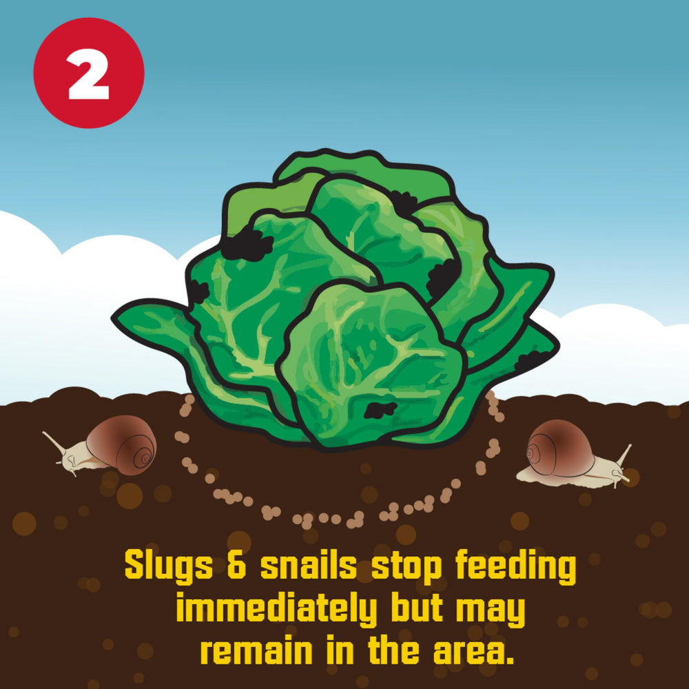 Corry's slug-snail killer bag open illustrates convenient use and quick deployment