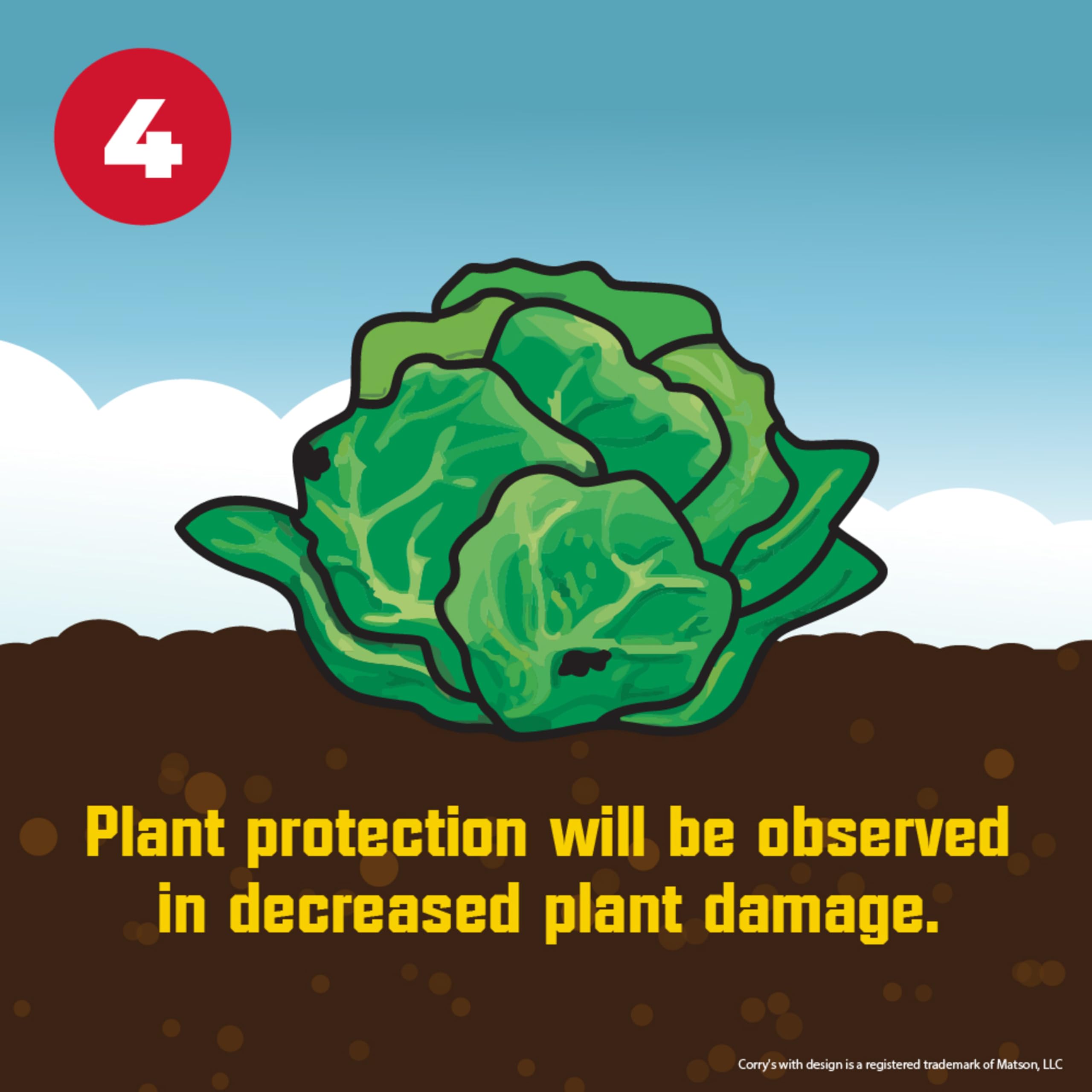 Corry's slug-snail killer on ornamentals protects flowering shrubs and decorative plants