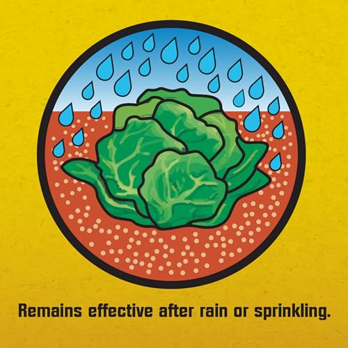 Corry's slug-snail killer resists wash-off after rainfall for long-lasting results