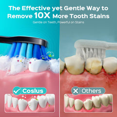 Two COSLUS C30 brush heads with flexible bristles and higher density for effective cleaning.