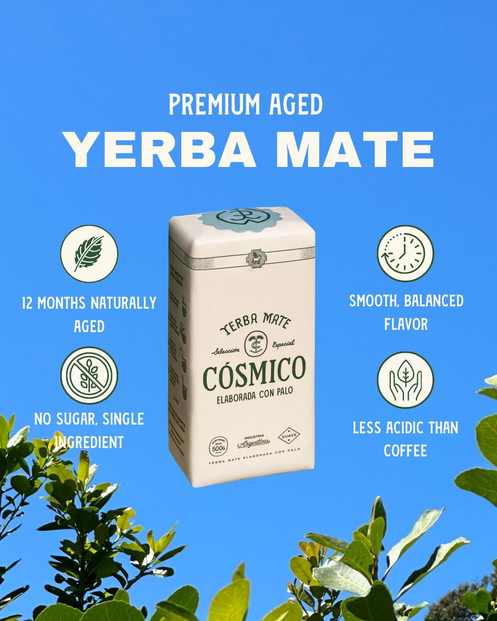 Cosmico Yerba Mate low-dust leaves reduce mess during preparation