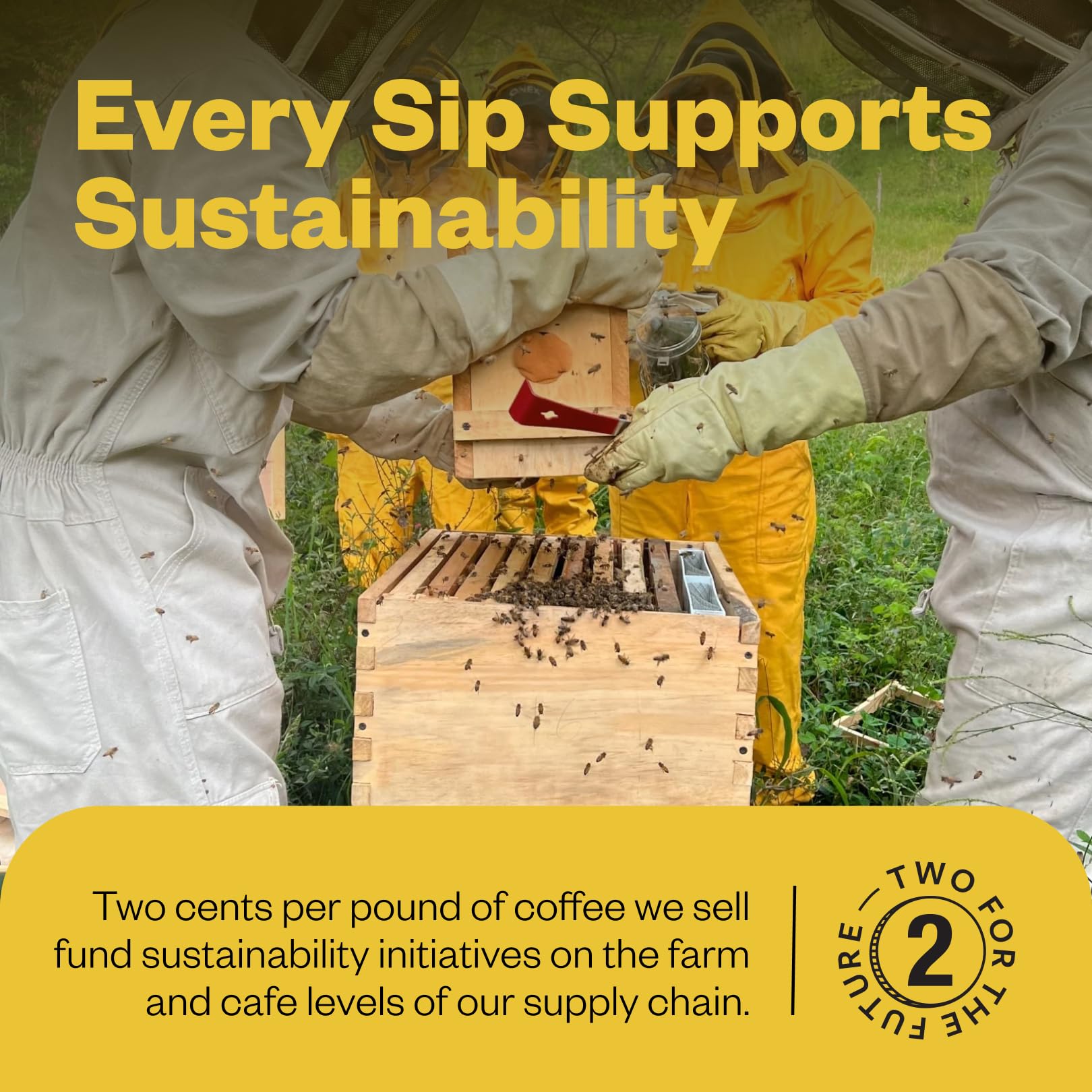 Counter Culture Coffee pour-over scene emphasizes a clean, bright cup.