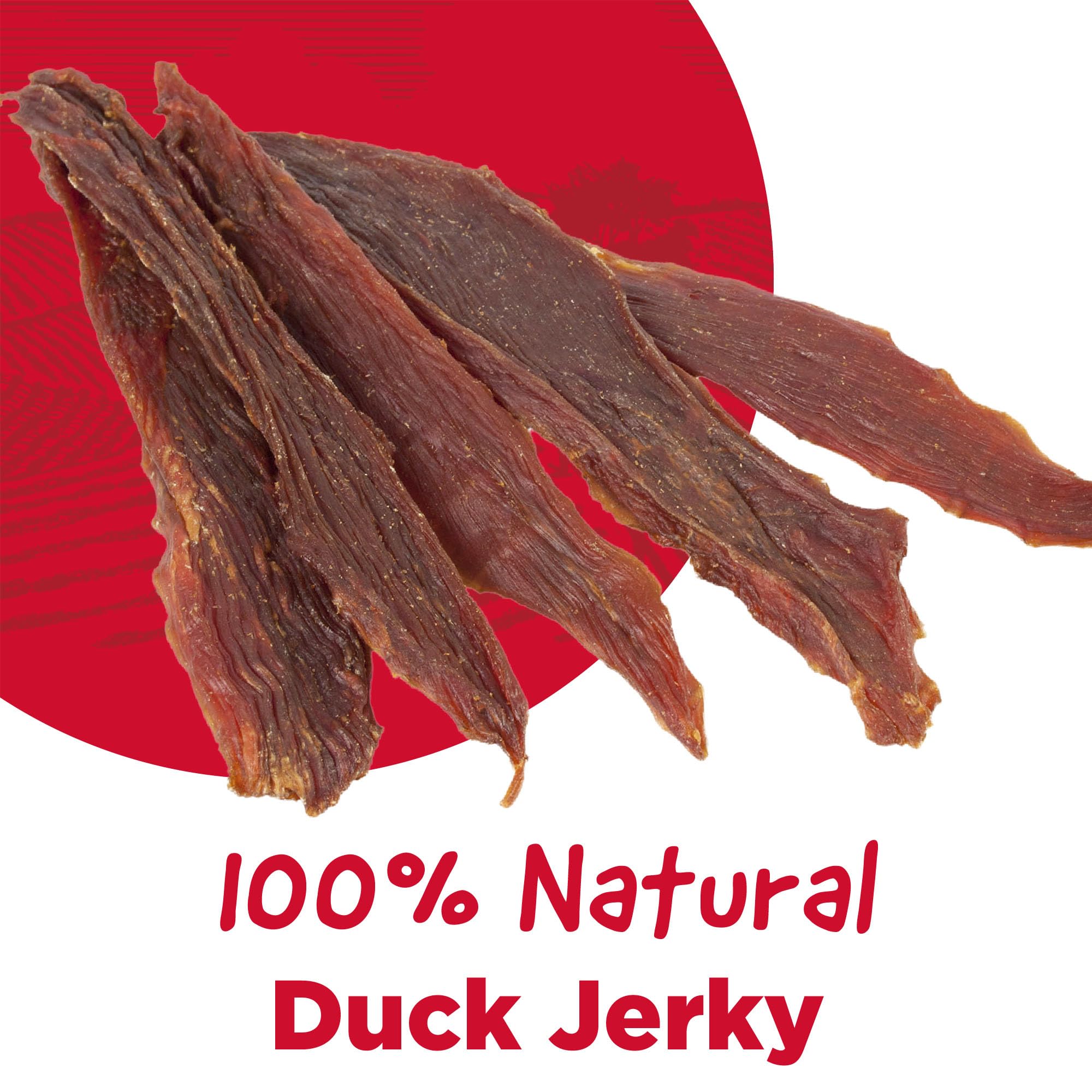 Country Kitchen Duck Jerky Tenders closeup of real duck meat for protein-rich reward.