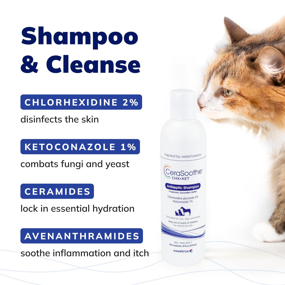 Covetrus CeraSoothe CHX+KET foamy lather during grooming