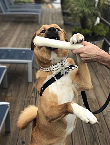 Cowdog Chews durable chew to help curb destructive chewing.