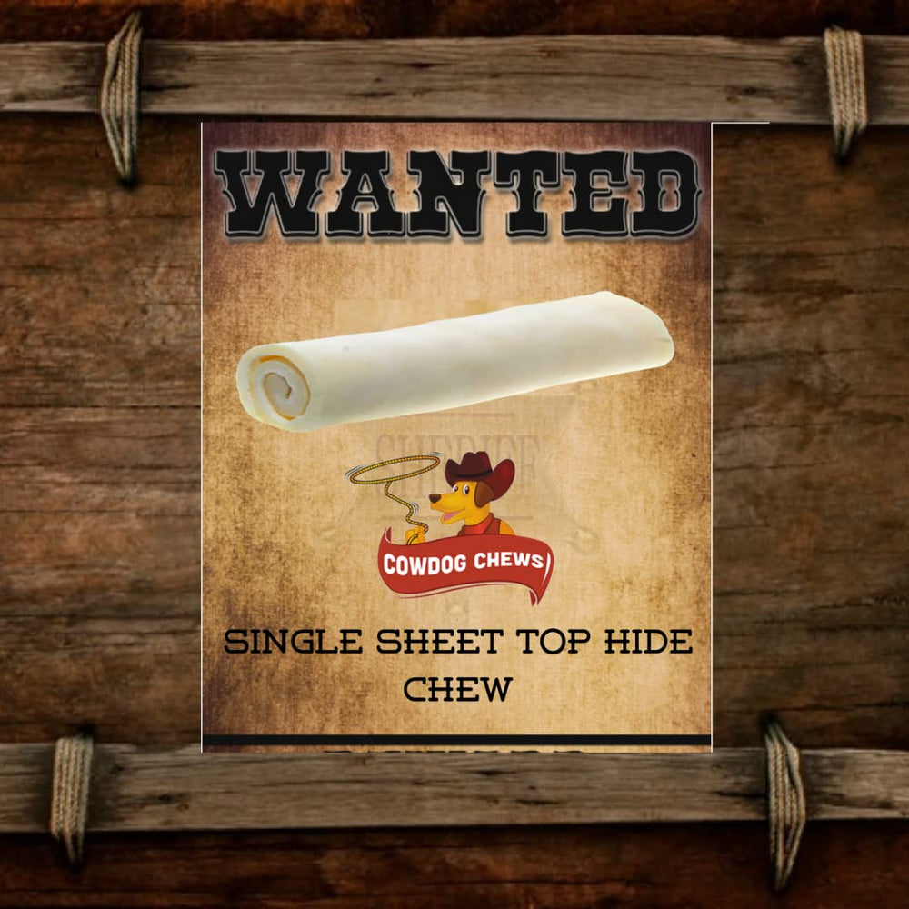 Cowdog Chews size-5-6-inches-retriever-roll shows ideal length for larger chewers