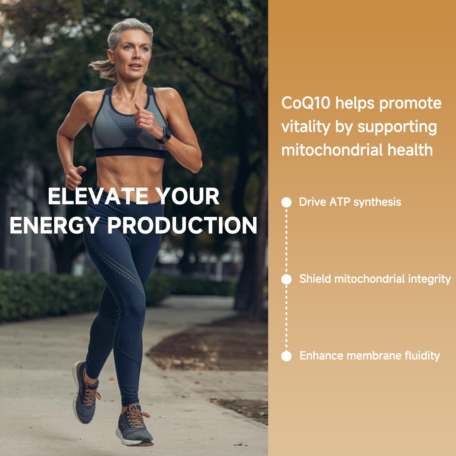 Cozynol heart-health softgels on a shelf image suggests daily heart-friendly antioxidant support.