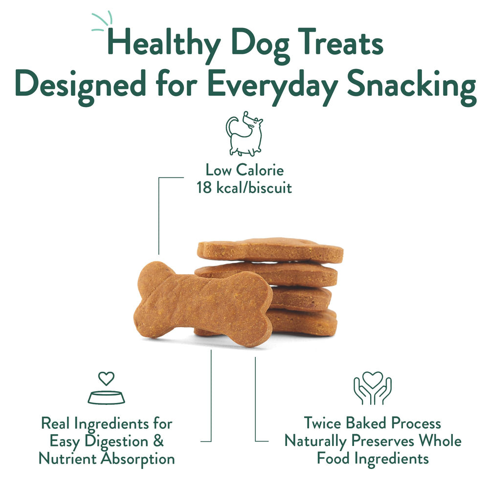 Assorted treats shown for small, medium, and large dogs