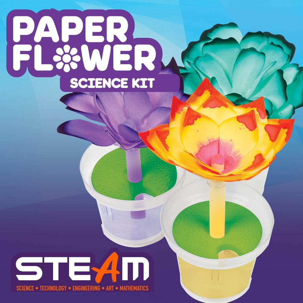 Crayola color-changing flowers add gift-worthy appeal for young creators.