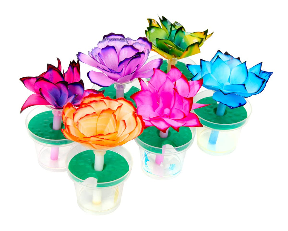 Crayola refills with white coffee filters extend the activity and blooms.