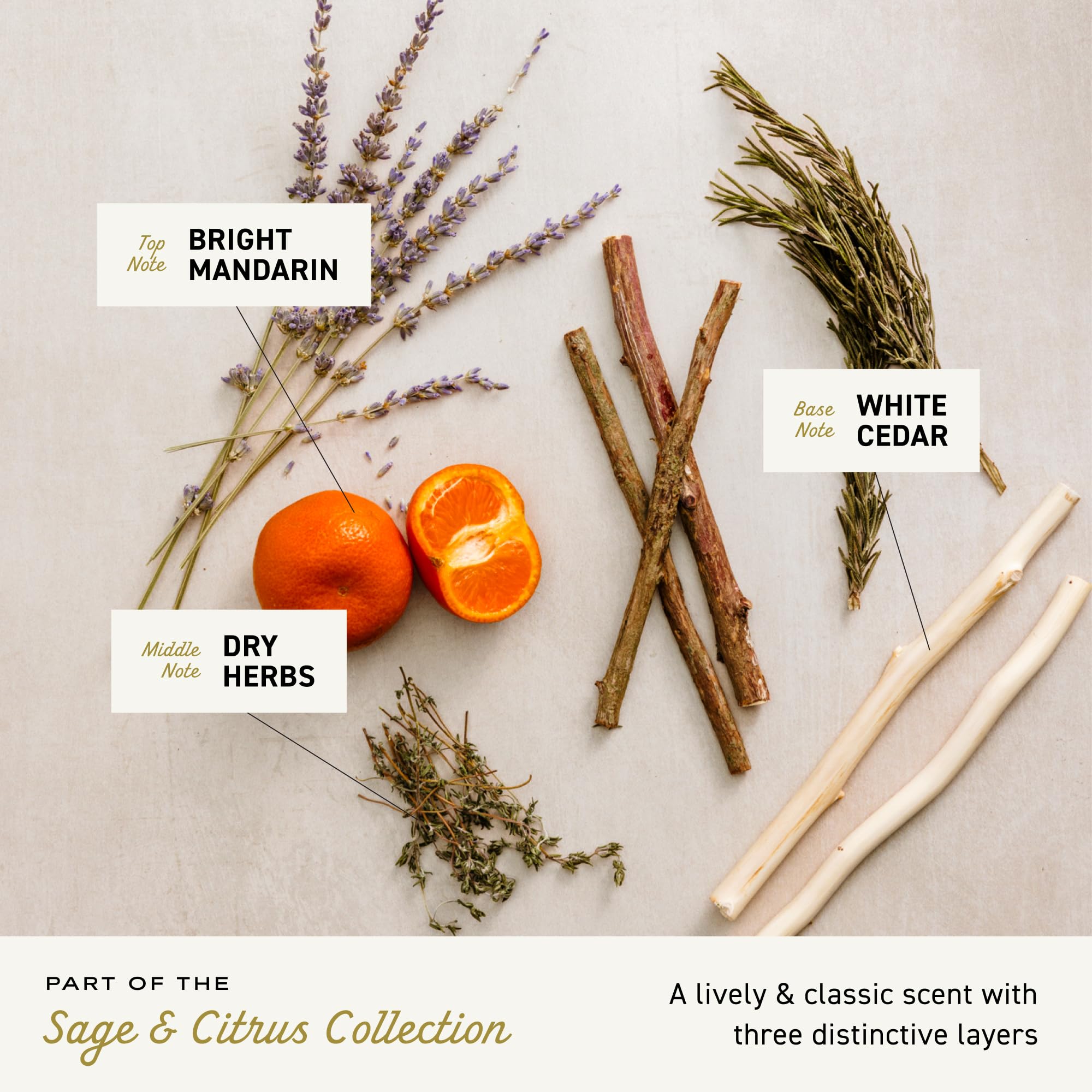 Cremo Sage & Citrus shave cream beside citrus scent hints at refreshing routine.