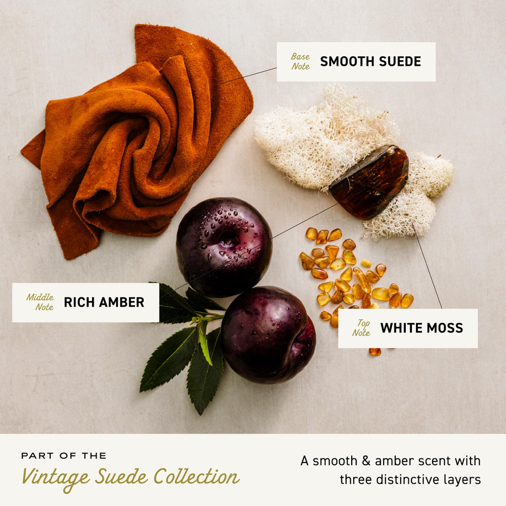 Vintage Suede spray action captures smooth application for confident daytime wear