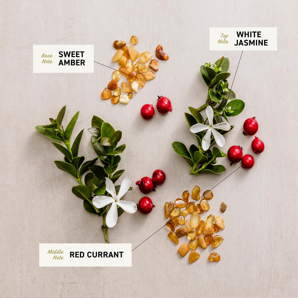 Cremo White Jasmine Amber pour in hand demonstrates generous lather and moisturizing cleanse.
