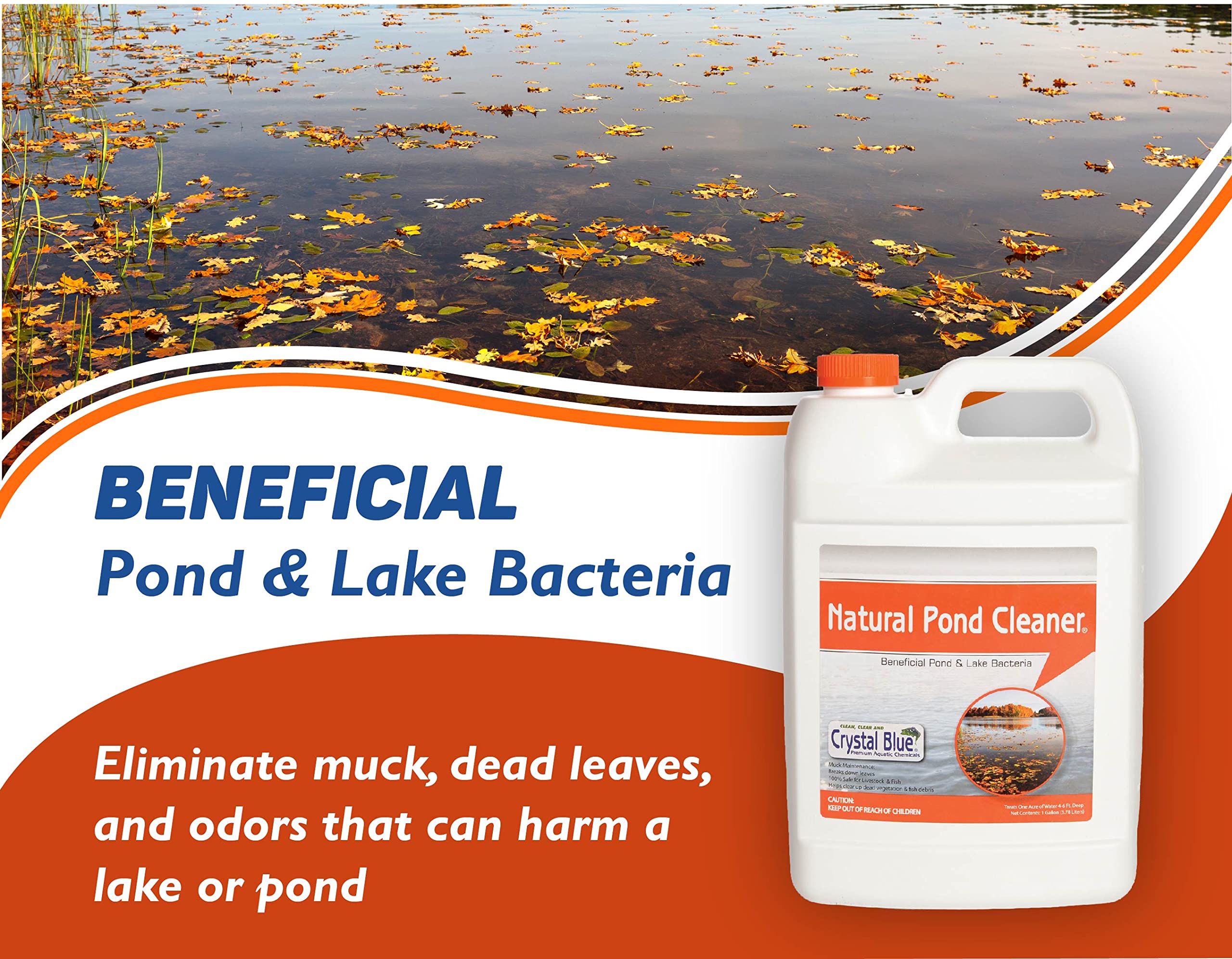 Crystal Blue muck breakdown action shows reduced debris on pond surface