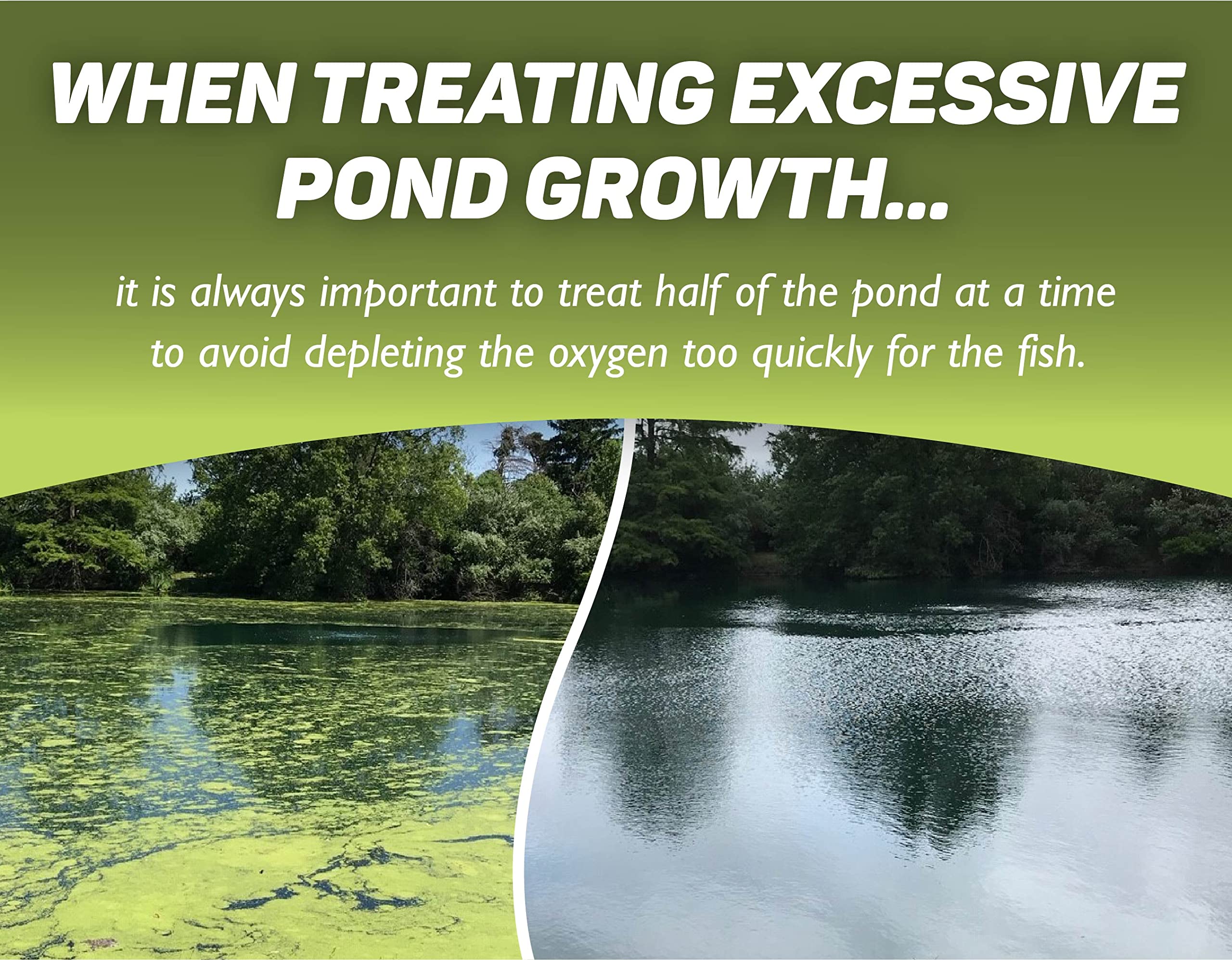 Crystal Plex one-acre coverage on pond surface, effective algae management.