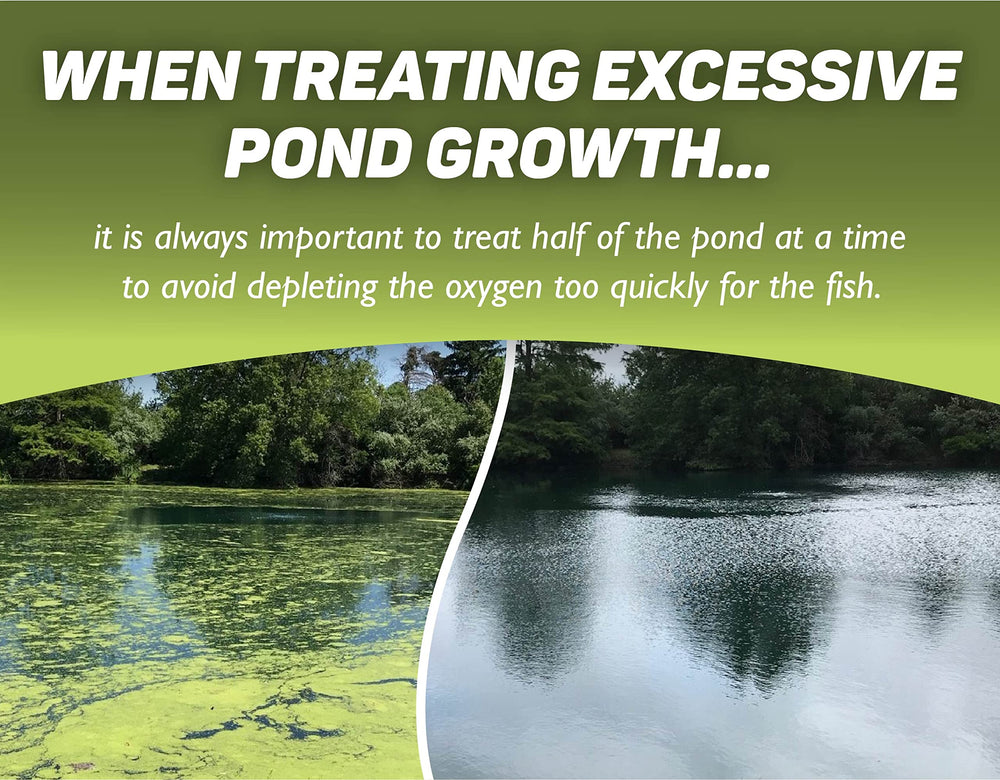 Crystal Plex one-acre coverage on pond surface, effective algae management.
