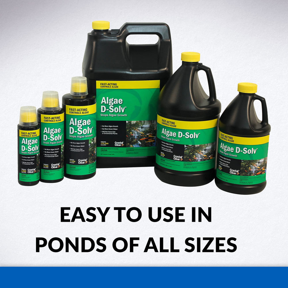 CrystalClear Algae D-Solv used in a fountain for safe algae management