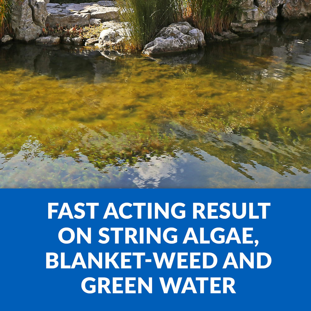 CrystalClear Algae D-Solv gallon container ready to treat large ponds