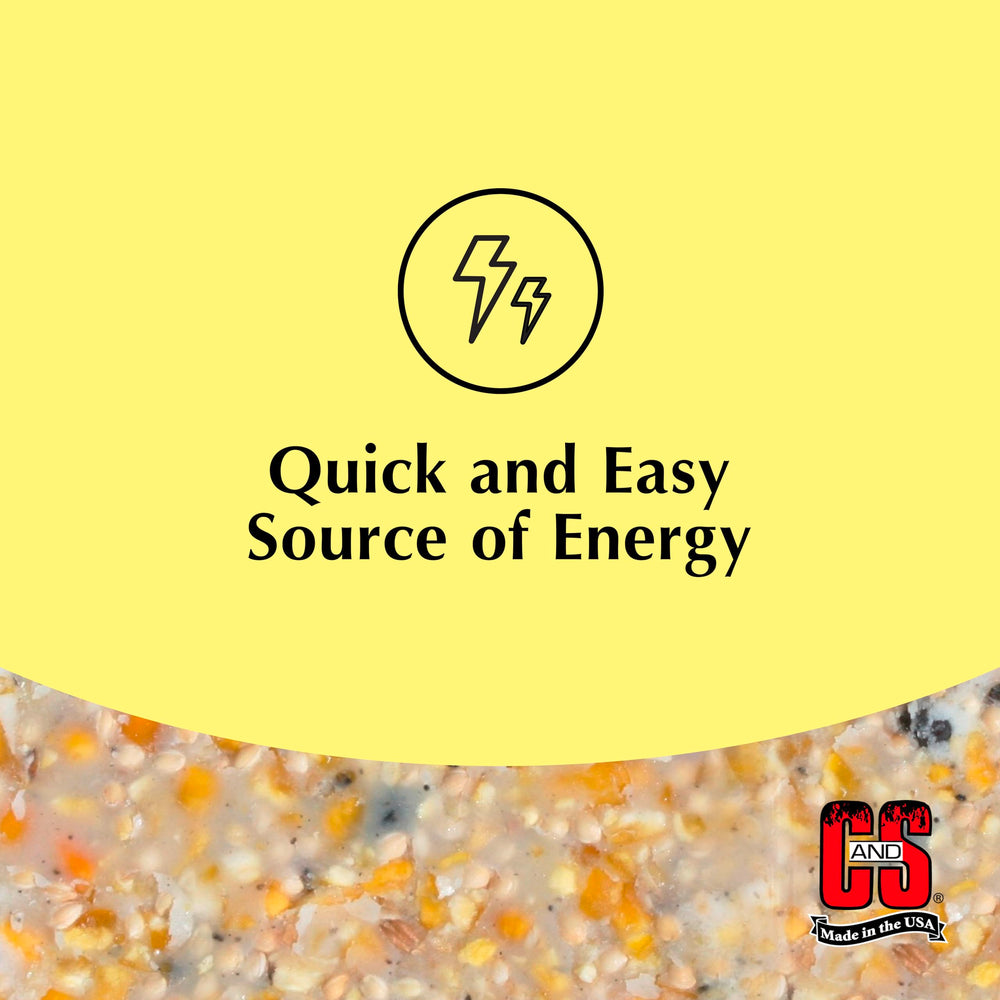 C&S High Energy Suet with peanuts, berries and apples for birds