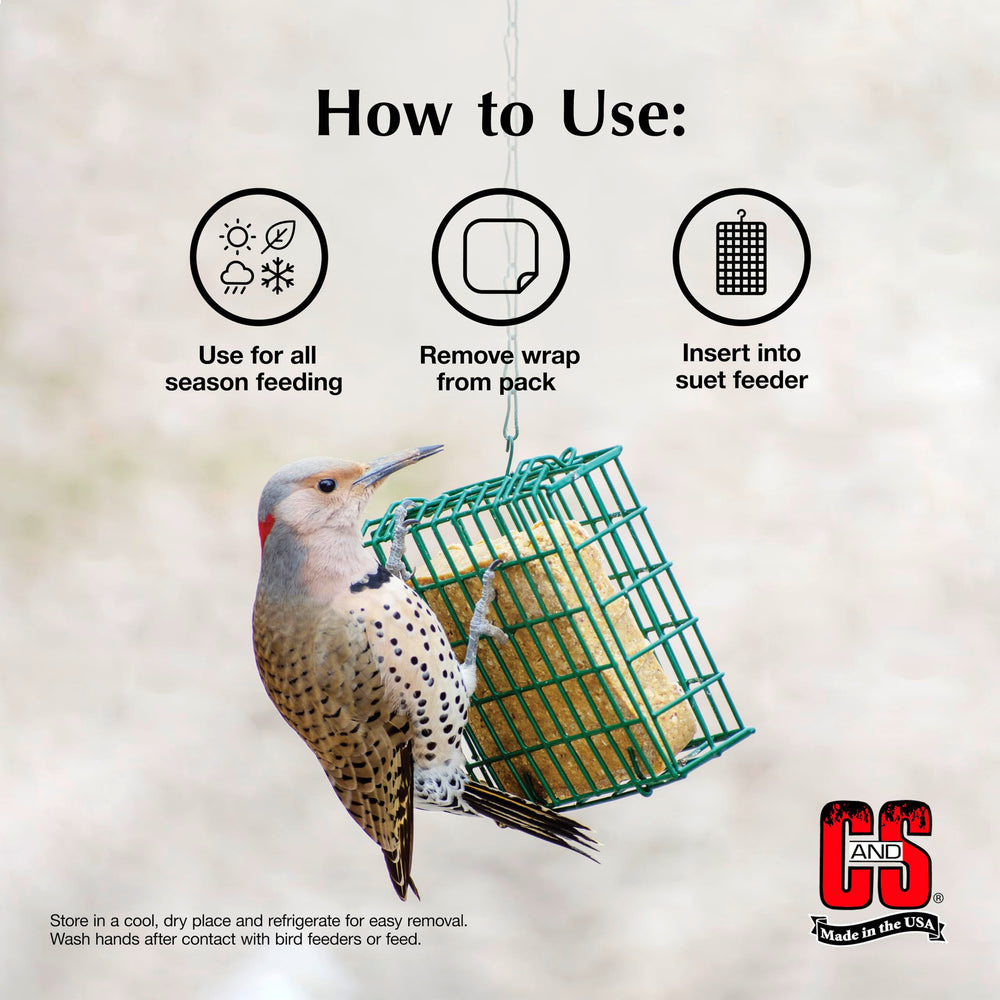 C&S High Energy Suet all-season use in a yard