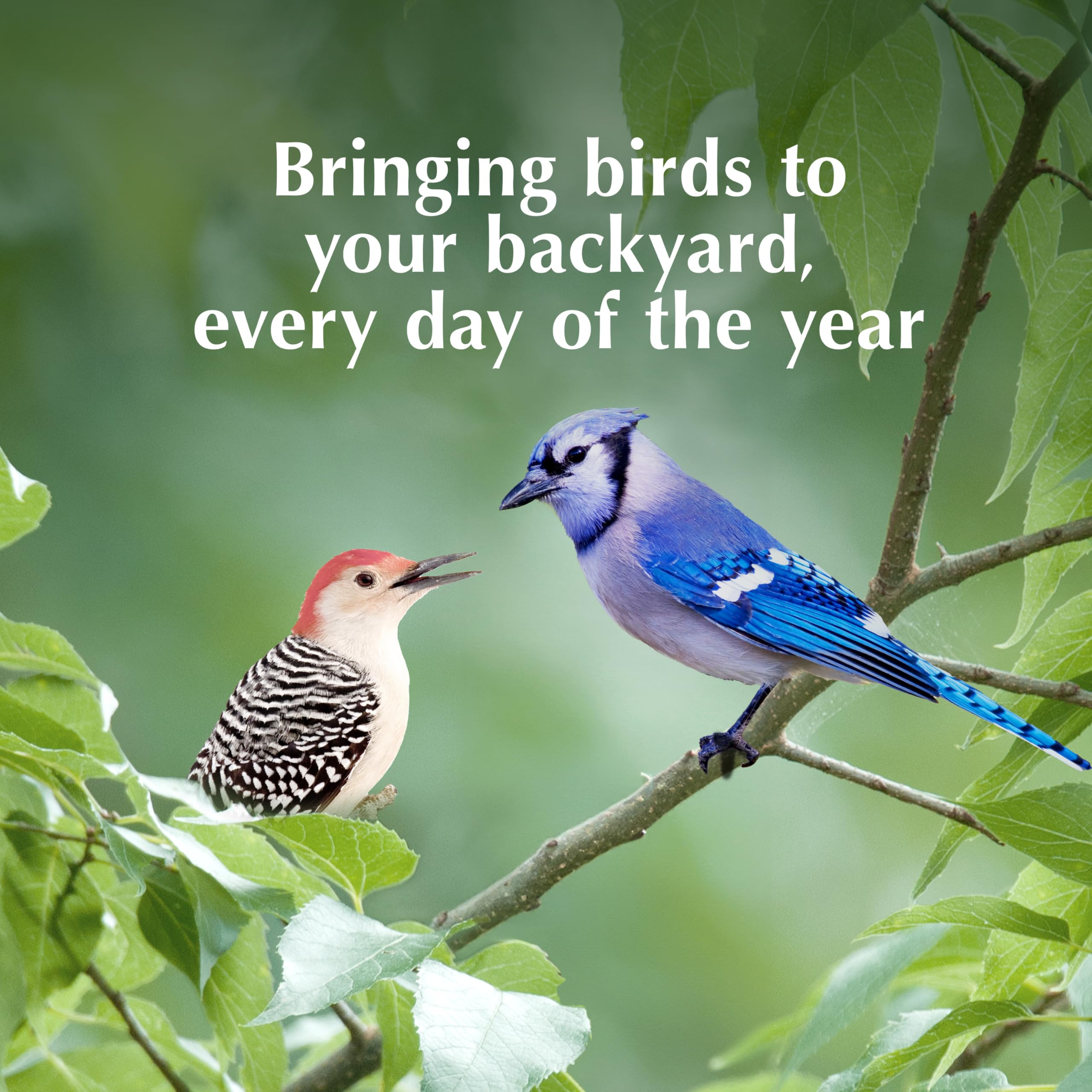 Made in the USA, trusted by wild bird enthusiasts since 1986